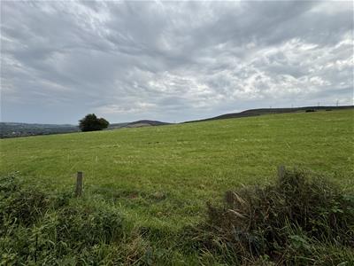 Picture 25